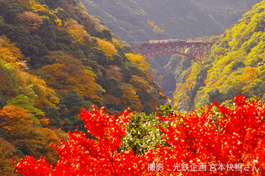 宮本快暢氏による南阿蘇鉄道の写真02