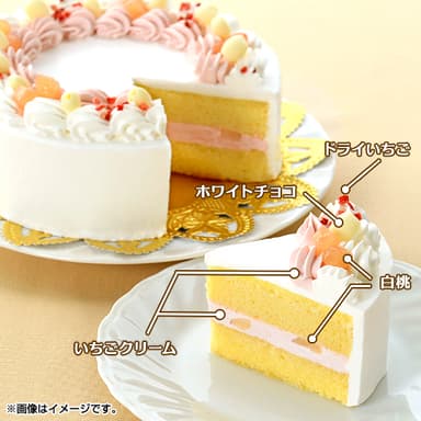 ケーキ本体(断面)