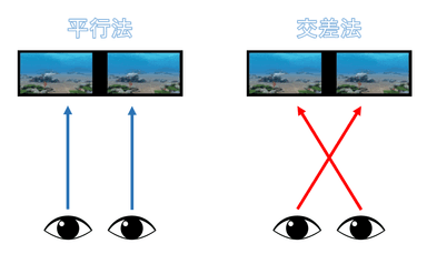 平行法と交差法