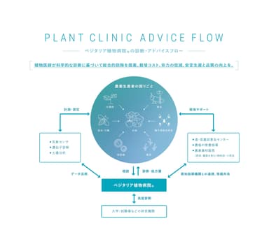 『ベジタリア植物病院(R)』の診断・アドバイスフロー