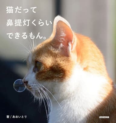 「猫だって鼻提灯くらいできるもん。」書影