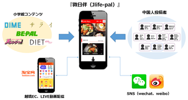 コンテンツ構造