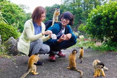 伊豆シャボテン動物公園(1)