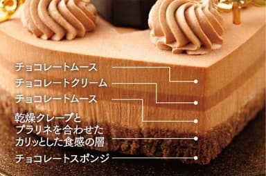 限定プラン用クリスマスケーキ 2