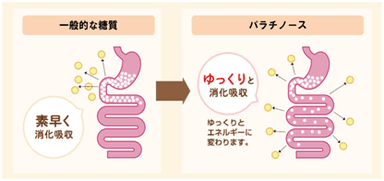 パラチノース(R)とは？