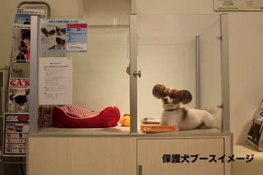 保護犬専用ブースイメージ