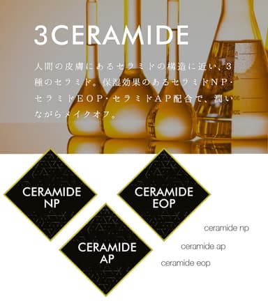 3 CERAMIDE