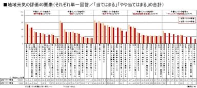 図4 地域元気評価40要素