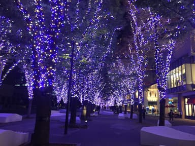 グランモール公園　イルミネーション