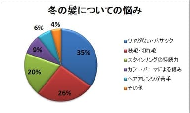 冬の髪についての悩み