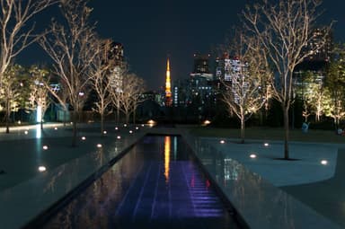 美しい品川シーズンテラスの夜景