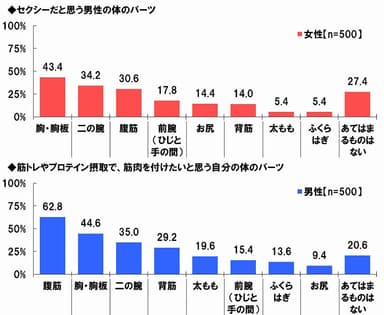 セクシーなパーツ/鍛えたいパーツ