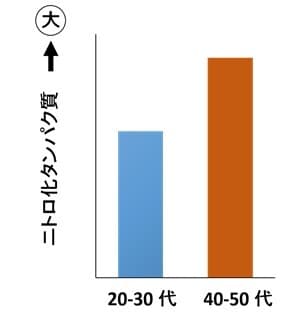 ニトロ化タンパク質の増化