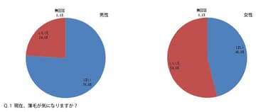 Q.1 現在、薄毛が気になりますか？