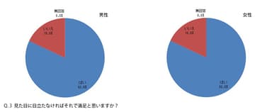 Q.3 見た目に目立たなければそれで満足と思いますか？