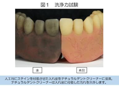 図1：洗浄力試験