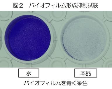 図2：バイオフィルム形成抑制試験