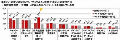 やってみたいポイント使用