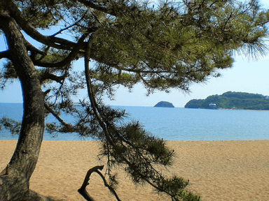 旅懐石のテーマ例「白砂青松」