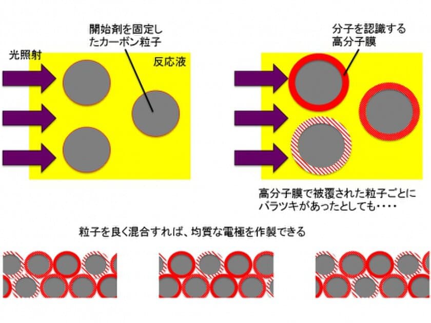 心臓切開手術などでリアルタイムに薬剤濃度を監視　
血液中でも高い感度と再現性を示すヘパリンセンサを開発