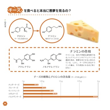 チーズを食べると本当に悪夢を見るの？