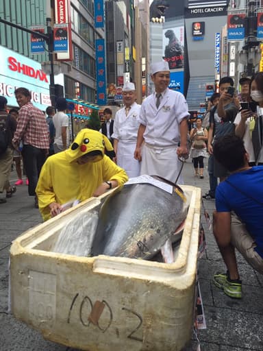 歌舞伎町にまぐろが