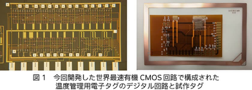 世界最速有機CMOS回路で
フレキシブル温度センサの多ビット化を実現