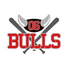 独立リーグ「06BULLS」