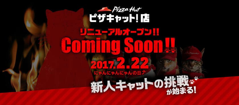 ピザハットから“「ピザキャット！店」”
２月２２日（にゃんにゃんにゃんの日）リニューアルオープン 
“ピザハットニャンバサダー”大募集！！