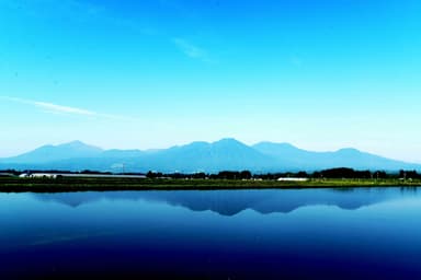 田植え時期には、水田に霧島山が映える