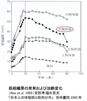 筋組織厚の発育および加齢変化　(Abe et al. 1995)安部孝&#44;福永哲夫  「日本人の体脂肪と筋肉分布」　杏林書院&#44;1995年