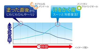 2種類の冷感成分配合！ひんやり感を長時間持続！