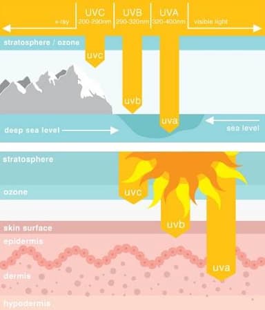 太陽紫外線の特徴と悪影響