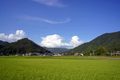 田園風景