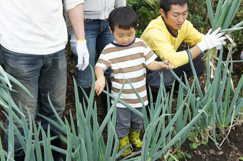 農業ベンチャーと柏市まちづくり公社による
公民連携の農業施設「農家食堂」＆「ベジQ」を4月1日OPEN！