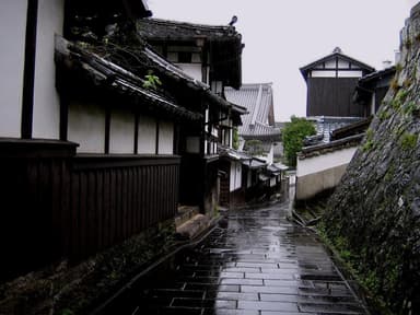 真光寺(二王座歴史の道)