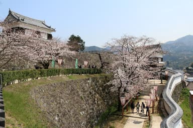 臼杵城址桜まつり