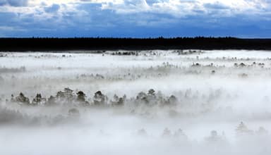 エストニアは空気が世界一綺麗