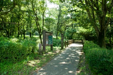 散策が気持ち良い敷地内の野草園(休暇村南阿蘇)