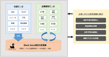 ■Black Swan社ビッグデータ分析サービスの概要