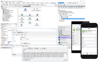 RAD Studio 10.2 Tokyo 製品イメージ