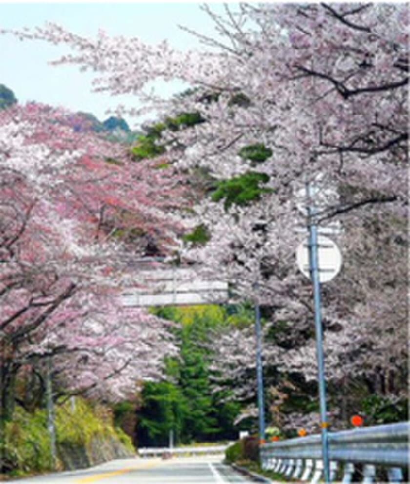 神戸の2大観光地・六甲山と有馬温泉は、
芦有ドライブウェイで約20分♪ロープウェーで約12分
六甲⇔有馬近さ発見！！
六甲・有馬 日帰りドライブ満喫プラン2017
六甲・有馬 空中さんぽプラン2017