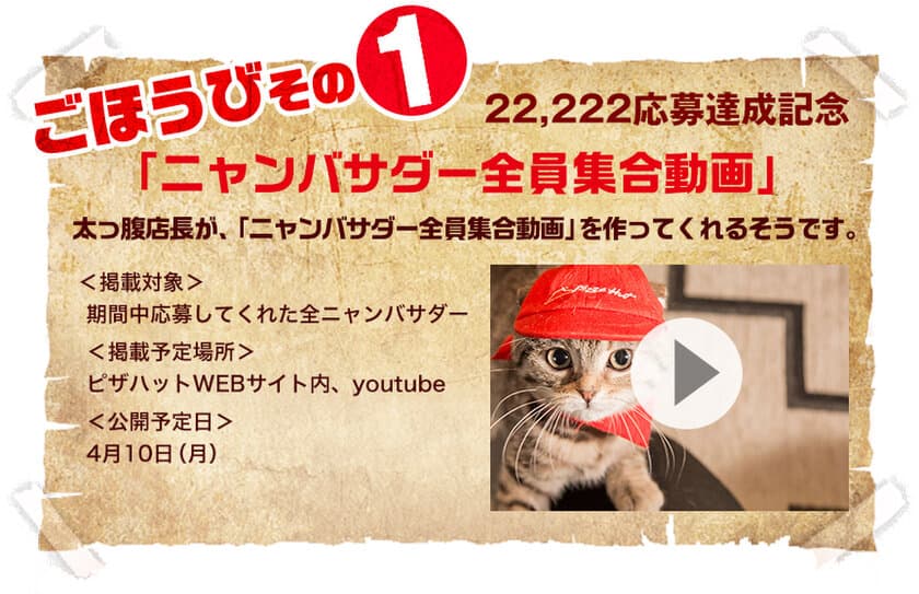 みなさんの猫の写真が渋谷に！
ピザハットが「ピザキャット！店」キャンペーン応募者の
写真を渋谷駅構内に展示！
