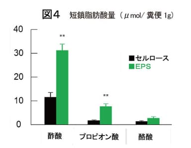 図4