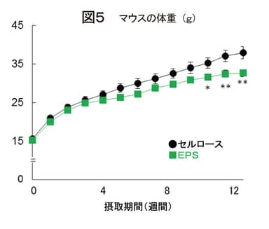 図5