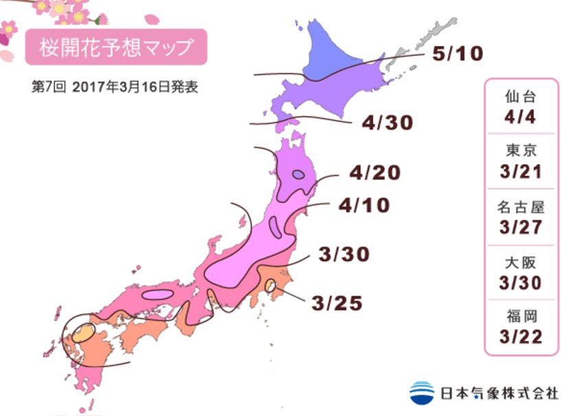 東京で3月21日に開花、桜の開花予想日的中　
早い開花の原因は晩秋の冷え込み