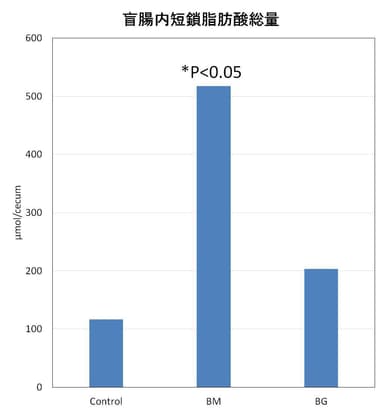 盲腸内短鎖脂肪酸総量