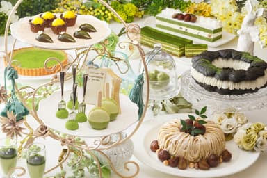 MATCHA Sweet Garden