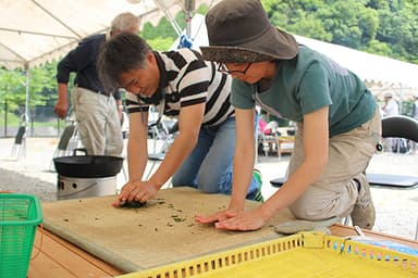 火を入れた茶葉を手で揉む