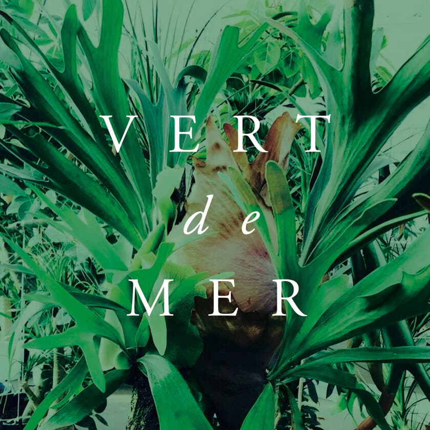 神戸煉瓦倉庫にまたひとつ、ライフスタイルショップ
『VERT de MER(ヴェール・デ・マーレ)』OPEN！